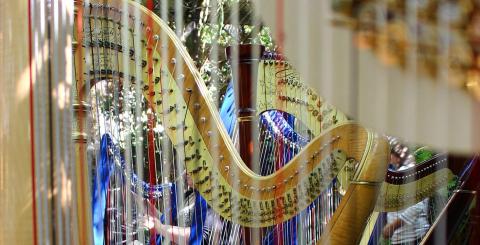 Harps